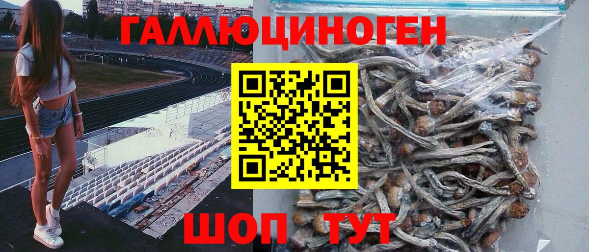 Галлюциногенные грибы мицелий Трёхгорный